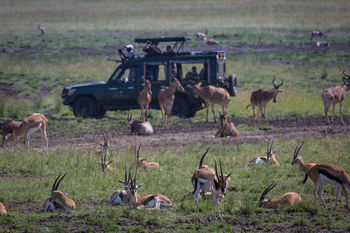 Elewana Sand River Masai Mara Hotel Maasai Mara Exterior foto